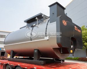 Best High Efficiency WNS Steam Boiler
