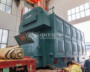 4 ton DZL Series Chain Grate Steam Boiler