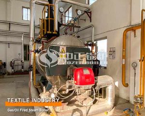 Gas Steam Boilers Used Pharmaceutical Factory