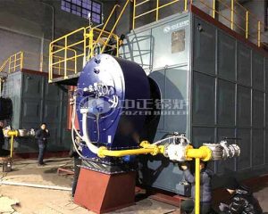 SZS Low NOx Hot Water Boiler for Sale