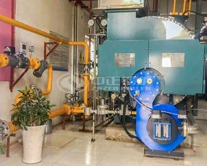 2 Ton WNS Series Condensing Gas Steam Boiler