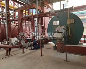 2.1MW YQW Gas-fired Thermal Oil Heater for Rubber Industry