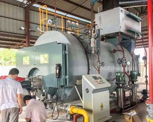 10 Ton WNS Condensing Natural Gas Steam Boiler