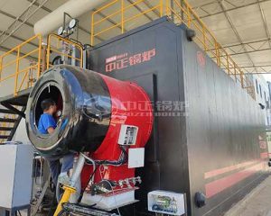 20 Ton Gas Steam Boiler Heating Price