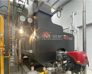 What is the Consumption of 5 ton gas fired boiler?