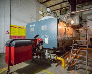 Professional 6 Ton Gas Steam Boiler Price