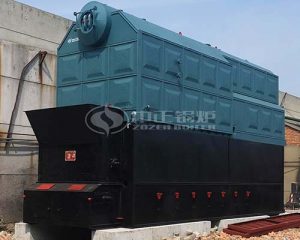 15tph DZL Series Biomass-fired Steam Boiler