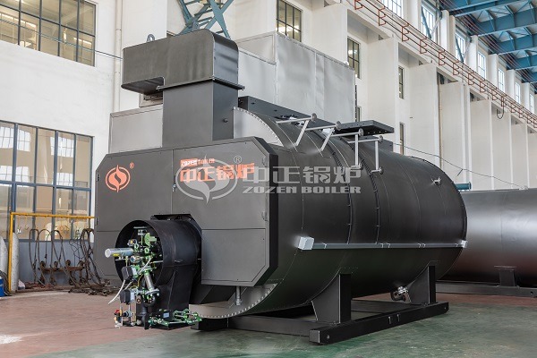 5tph WNS Series Steam Boiler for Biodiesel Industry