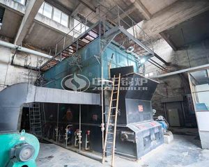 20Ton Coal Fired Boiler Manufacturers