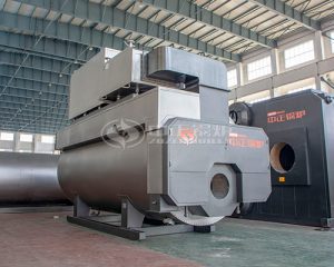 Food Factory Preferred Industrial Steam Boiler Model