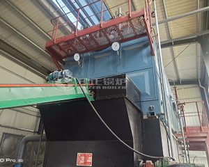 4 Ton Capacity Steam Boiler in Bangladesh