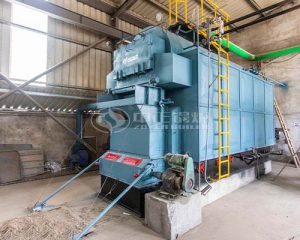 Bangladesh 4 Ton Capacity Rice Husk Biomass Boiler