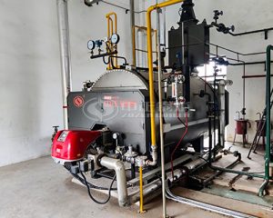 4000kg/hr Gas Steam Boiler in Malaysia