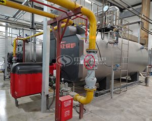 8 TPH Gas Boiler for Bangladesh Garment Factory