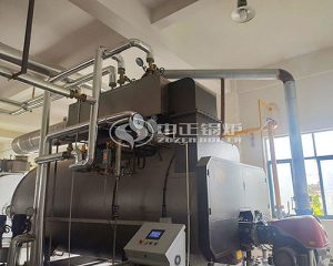 ZOZEN Gas Fired Boiler used in Packaging Industry