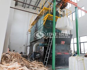 ZOZEN Wood Chip Steam Boiler in Bangladesh