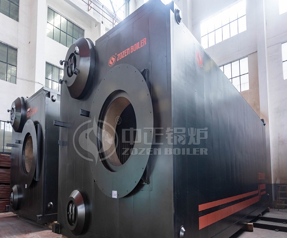 Biogas Fired Boilers